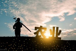 图片[1]-抖音农民短视频怎么赚钱（直播带货助农经济）-叶子木笔记