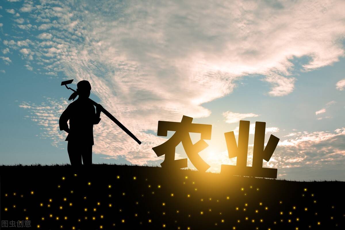 抖音农民短视频怎么赚钱（直播带货助农经济）-叶子木笔记