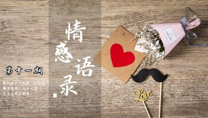 抖音情感语录视频怎么赚钱（情感共鸣视频制作教程揭秘）-叶子木笔记