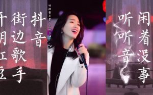 图片[1]-抖音唱歌短视频怎么赚钱（一条唱歌视频变现7200元）-叶子木笔记