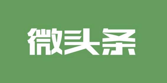 微头条怎么赚钱（从零起步：打造成功变现微头条经营计划）-叶子木笔记