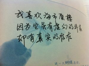 图片[1]-抖音语录短视频怎么赚钱，语录号项目实战攻略-叶子木笔记