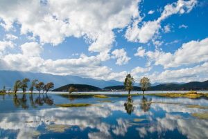 图片[1]-抖音风景短视频怎么赚钱，从零到千元：风景视频如何赚取可观收益-叶子木笔记