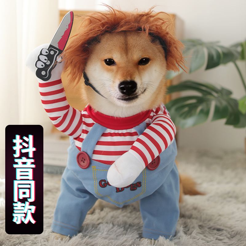 抖音做宠物视频怎么赚钱（宠物短视频创意变现策略）-叶子木笔记