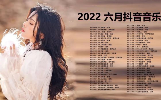 图片[1]-抖音短视频怎么推歌赚钱（音乐推广赚钱秘籍）-叶子木笔记