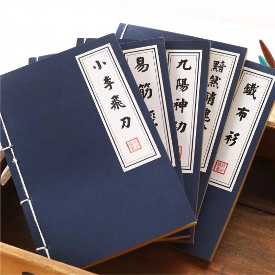图片[1]-抖音抄小说怎么赚钱（教你一步步操作，轻松实现抄书变现）-叶子木笔记