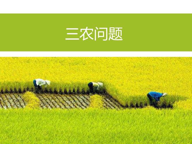 今日头条三农频道怎么赚钱（解锁三农领域创作与盈利的全方位指南）-叶子木笔记