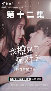图片[1]-抖音剧集短视频怎么赚钱（短剧推广：今年最热赚钱项目）-叶子木笔记