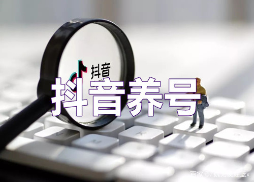 抖音怎么养号起号（打造抖音账号的六大流程）-叶子木笔记