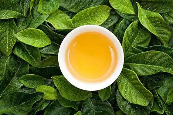 茶叶行业怎么拍抖音（三种拍摄方式：让你成为本地炙手可热的茶叶小店）-叶子木笔记