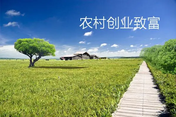农村怎么创业（9个农村创业好点子）-叶子木笔记