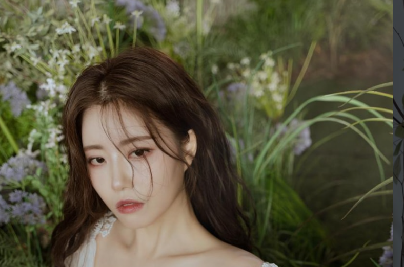 图片[2]-[Espacia Korea] EHC#111 YUA[51P-433MB]-叶子木笔记