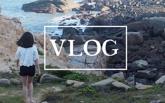 今日头条vlog怎么赚钱（娱乐VLOG赚钱攻略）-叶子木笔记