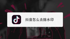 抖音怎么去掉水印(6款视频去水印神器推荐)-叶子木笔记