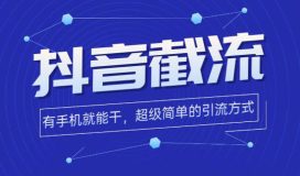 抖音上怎么截流客户（一天引到私域两三百人）-叶子木笔记