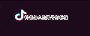 抖音账号怎么打上标签（抖音标签三步设置法）-叶子木笔记