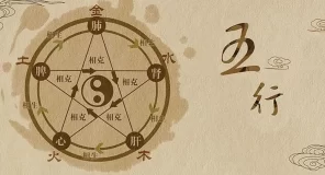 抖音玄学赛道怎么玩（五大玩法全解析）-叶子木笔记