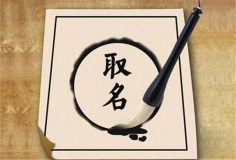 抖音起名项目怎么做(互联网起名新玩法解析)-叶子木笔记