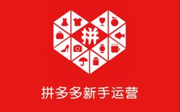 拼多多怎么赚钱(拼多多赚钱秘籍:三招教你选品)-叶子木笔记