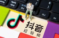 新手抖音定位选哪个方向好（抖音新手领域选择指南）-叶子木笔记