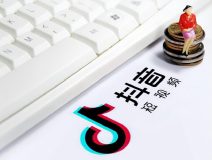 抖音新手适合做什么领域(打破新手定位瓶颈)-叶子木笔记