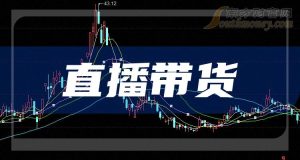 新手小白如何开始做直播带货(直播新手必读攻略)-叶子木笔记