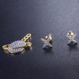 小红书耳饰类目怎么做（3个内容模板轻松吸引流量）-叶子木笔记