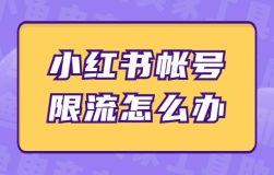 小红书被限流怎么恢复（三个方法帮你解决问题）-叶子木笔记
