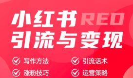 小红书变现的方式有哪些（五大变现方法详解）-叶子木笔记