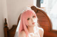 瓦斯塔亚小龙虾 – NO.08 花嫁 [16P-243MB]-叶子木笔记