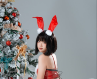 瓦斯塔亚小龙虾 – NO.13 圣诞礼物兔兔[20P-392MB]-叶子木笔记