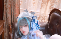 起司块wii – NO.037 柴郡[75P4V-586MB]-叶子木笔记