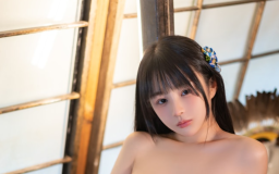 三度_69 – NO.083 菲伦 [80P2V-676MB]-叶子木笔记