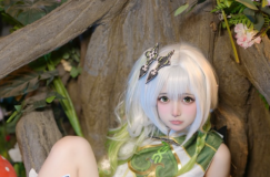 莱可Raika – 纳西妲的乐园[69P-596MB]-叶子木笔记