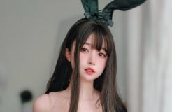 女主K – NO.20 黑丝兔女郎 [102P-353MB]-叶子木笔记