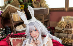 西园寺南歌 – NO.21 碧蓝航线恶毒兔女郎 [25P10V-145MB]-叶子木笔记