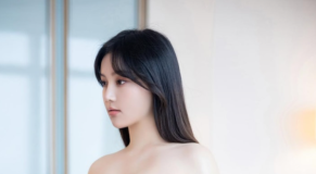 咬一口兔娘 – NO.205 2月月票特典『菲奇子女仆』[43P1V-2.06GB]-叶子木笔记