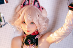 花铃 NO.61 交错战线 绯猁机甲猫猫 [20P-171MB]-叶子木笔记