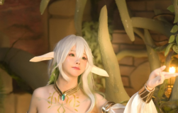 前羽 NO.13 大慈树王[40P-24MB]-叶子木笔记