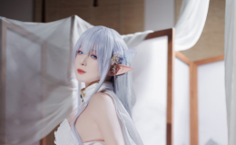 封疆疆v NO.42 阿尔比恩旗袍[40P-435MB]-叶子木笔记