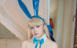 麻花酱 NO.78 蔚蓝档案 飞鸟马时[32P1V-429MB]-叶子木笔记